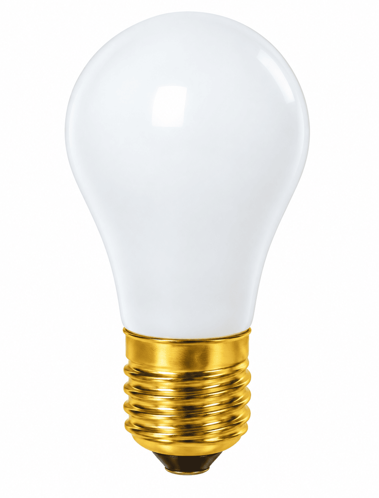 S14 INCANDESCENT BULBS