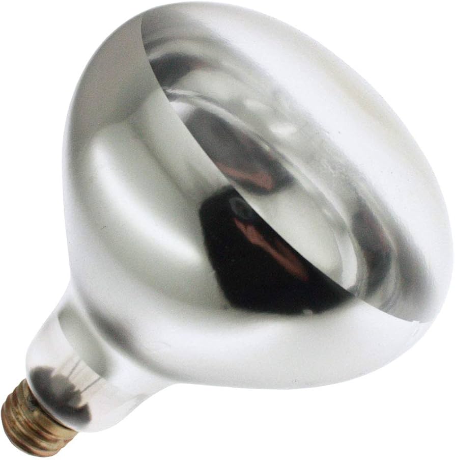 R40 Heat Lamp Bulb, E26, 250W, 120V, Clear, Shatterproof - 2 Pack