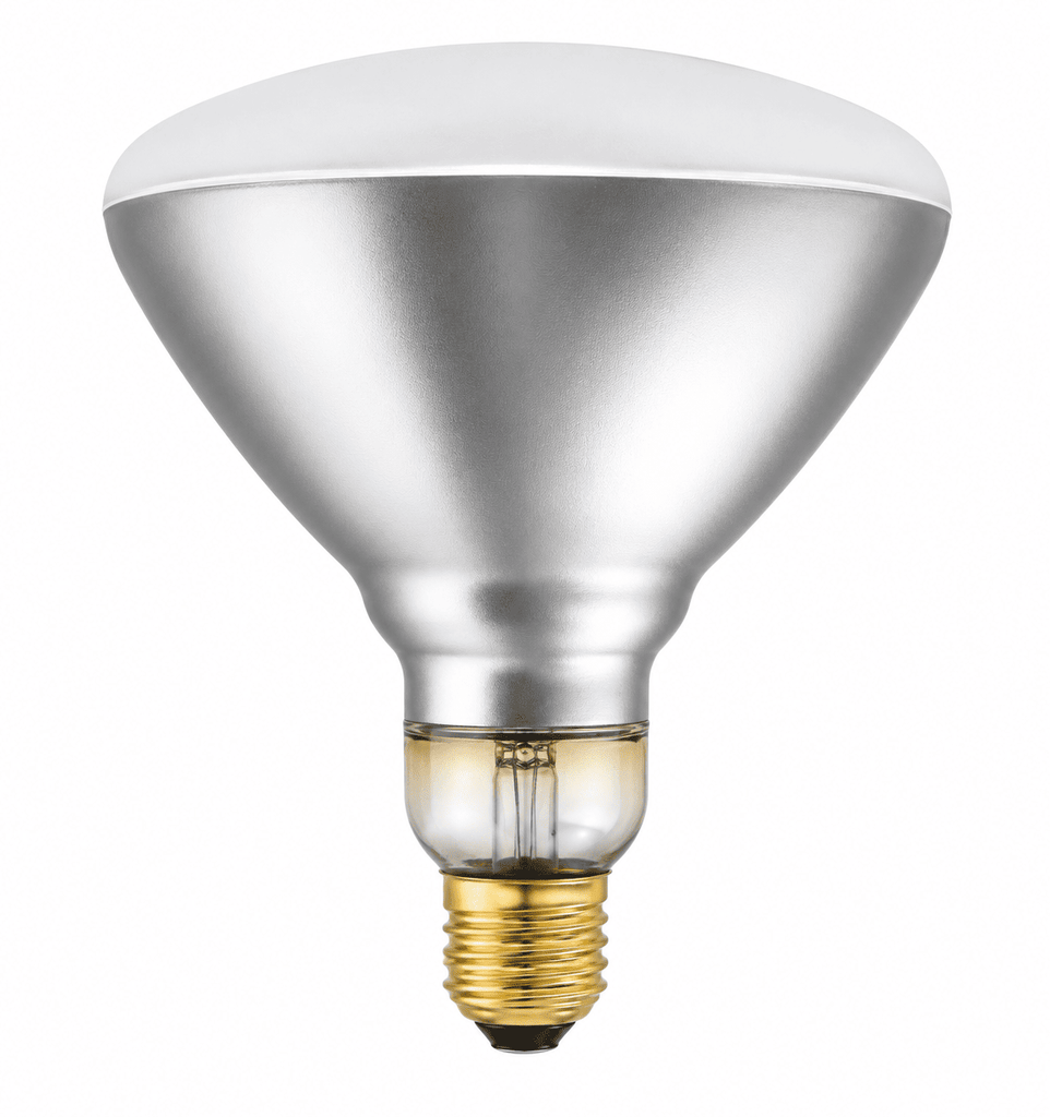 R40 HEAT LAMP BULB