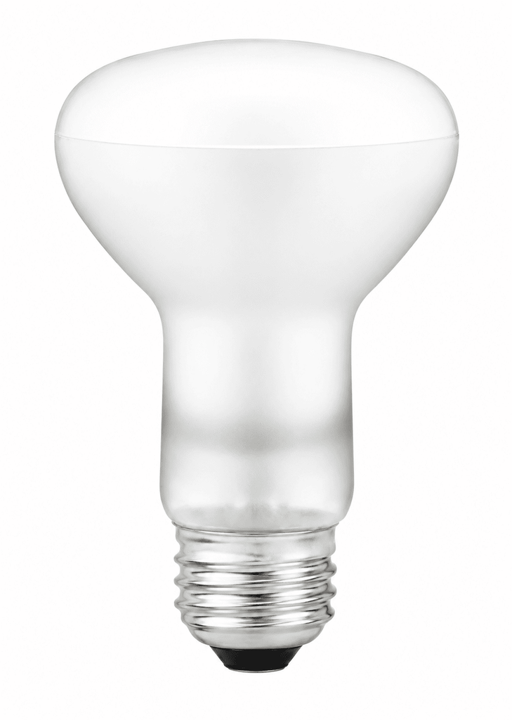 R20 SHATTERPROOF BULBS