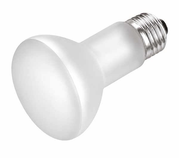 R20 SHATTERPROOF BULBS