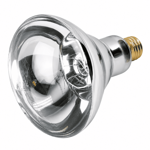 R40 HEAT LAMP BULB